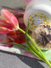 MAGICAL ZIPPED BAG. Green Tea and Lemon Lotion. Citrus Pomegranate Soap. Sand and Surf Sand Dollar Soap.