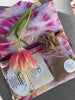 BE KIND zipped bag with Anti Bug Soap. Karen's Kitchen & Garden Soap. Poison Ivy Soap.