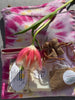 BE KIND zipped bag with Anti Bug Soap. Karen's Kitchen & Garden Soap. Poison Ivy Soap.