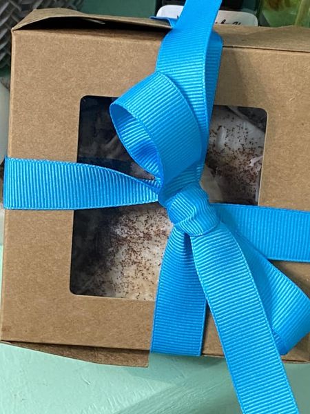 Sand Dollar SOAPS. 2 per box. Tied with beautiful turquoise ribbon.